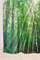 Штора для ванной WS-817 (лес) 180х180 - фото 14764